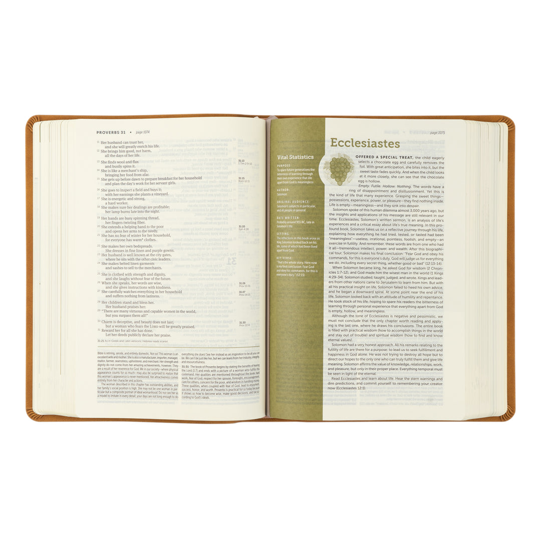 NLT Life Application Study Bible: Amelia Theme