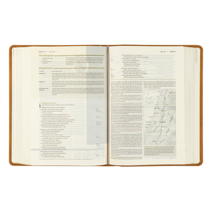 NLT Life Application Study Bible: Amelia Theme