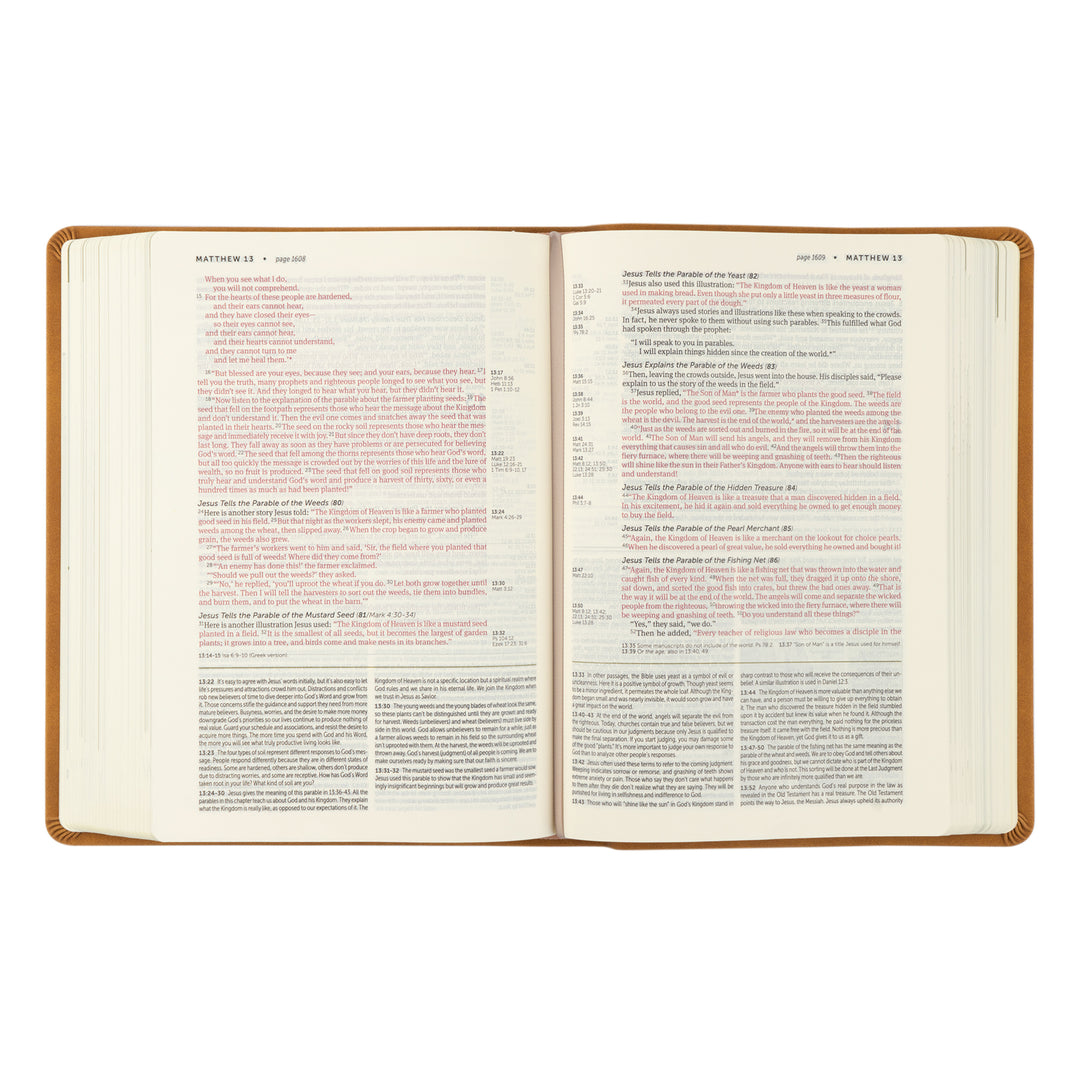 NLT Life Application Study Bible: Amelia Theme