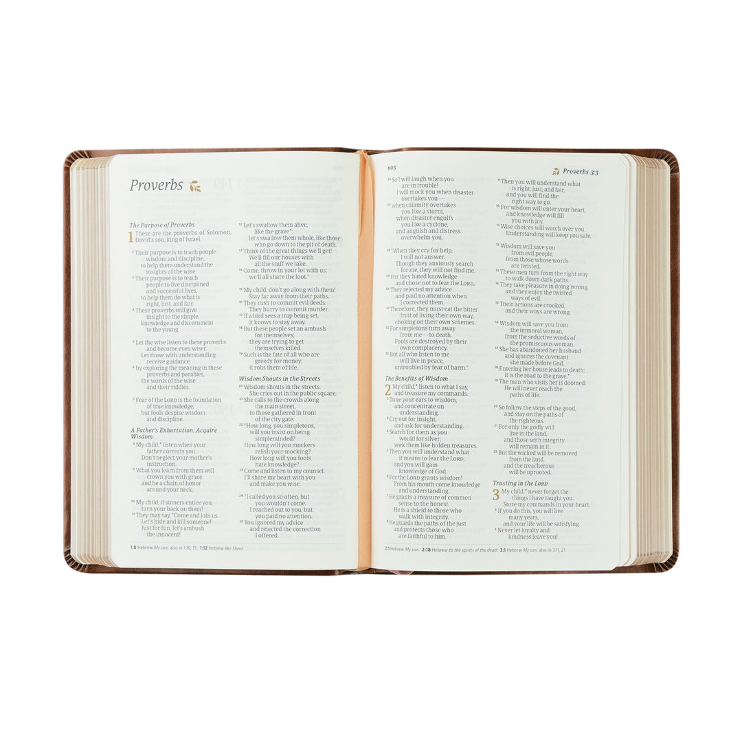 Aurora-NLT-Compact-Bible-Large-Print-Brown-Floral-Leather-Hosanna-Revival-Hosanna-Revival