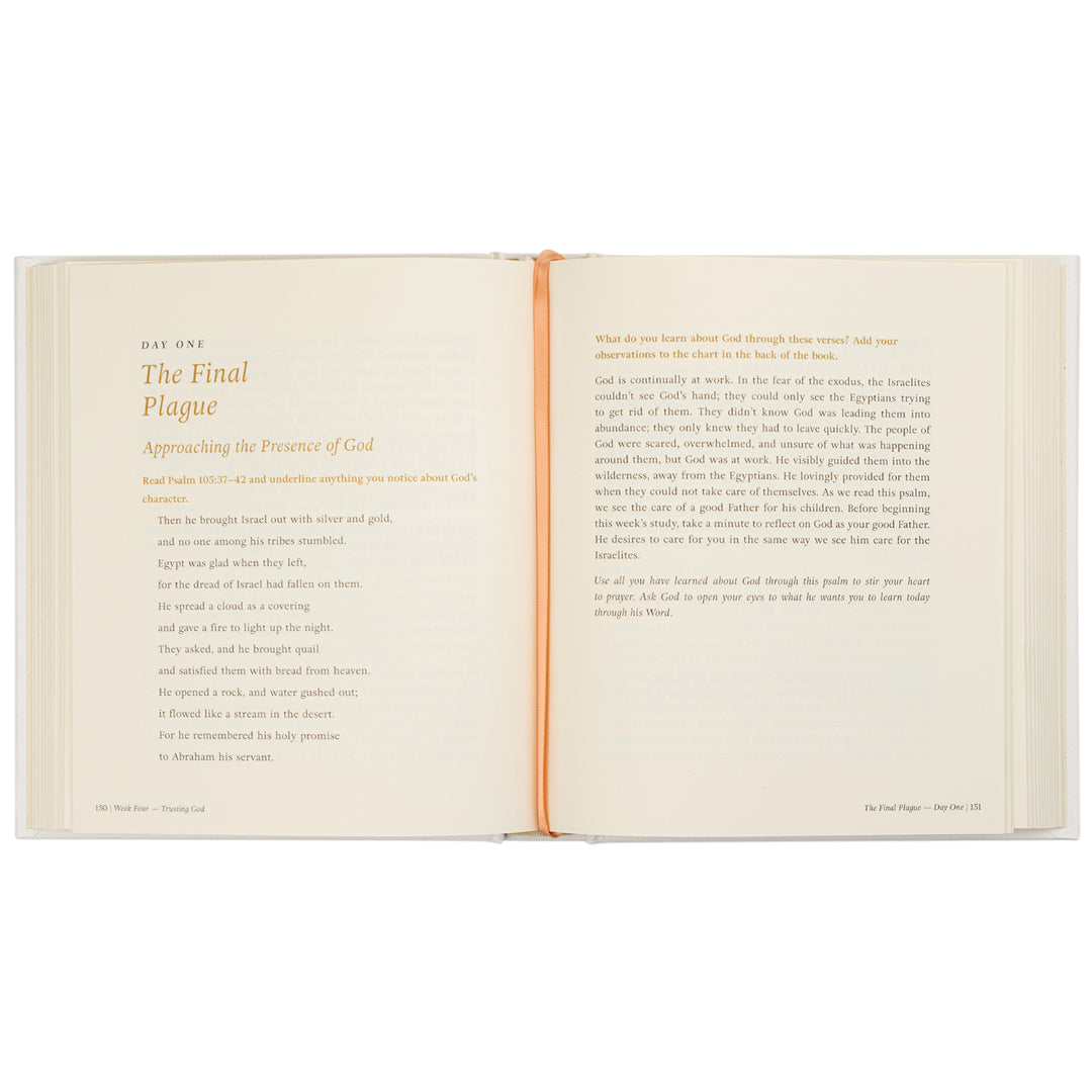 Beyond-Egypt-Bible-Study-Exodus-Kari-Minter-Hosanna-Revival-001
