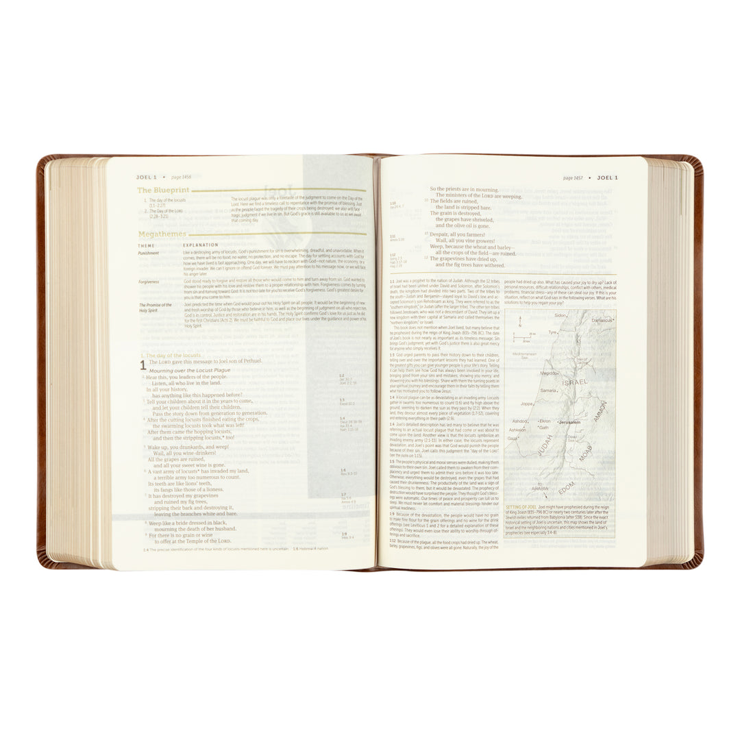 NLT Life Application Study Bible: Edinburgh Theme