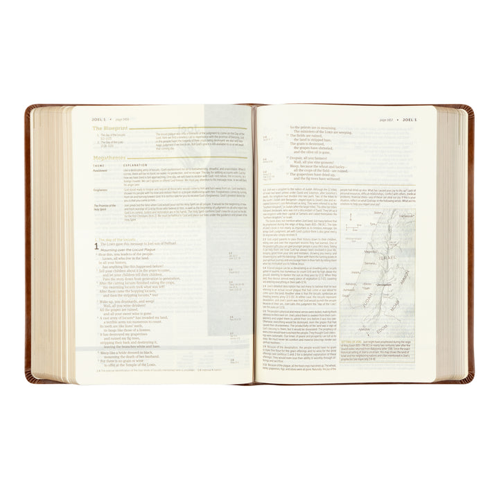 NLT Life Application Study Bible: Edinburgh Theme