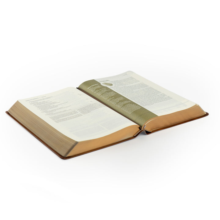 NLT Life Application Study Bible: Edinburgh Theme