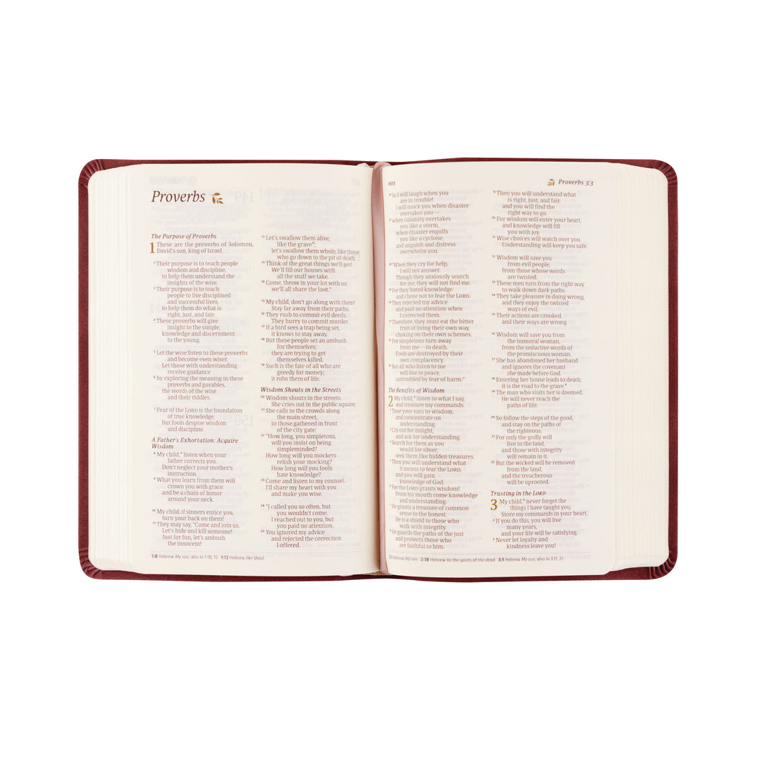 Helena-NLT-Compact-Bible-Pink-Purple-Flower-Suede-Leather-Hosanna-Revival