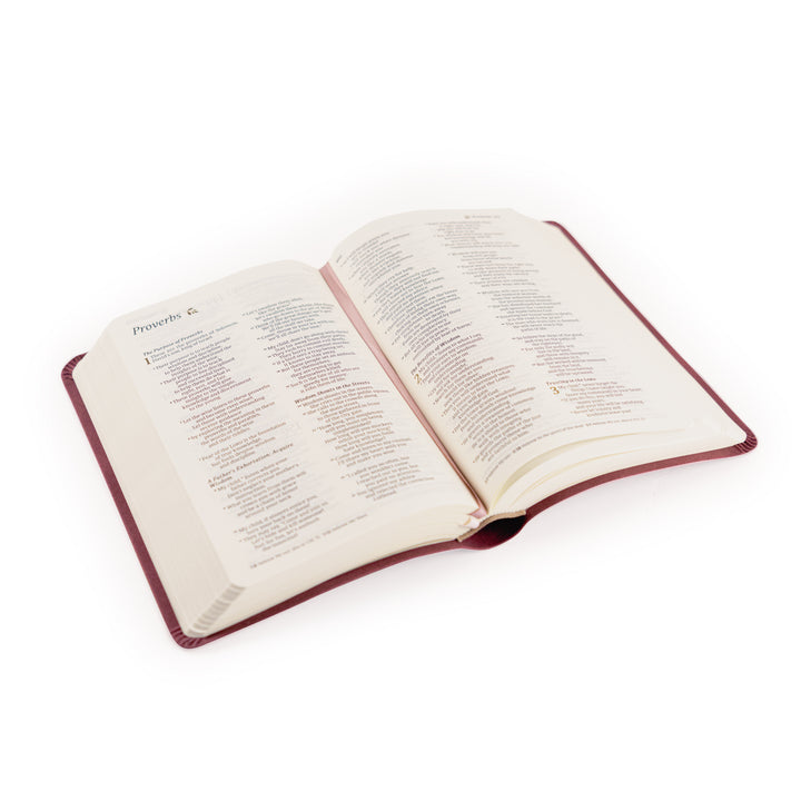 Helena-NLT-Compact-Bible-Pink-Purple-Flower-Suede-Leather-Hosanna-Revival