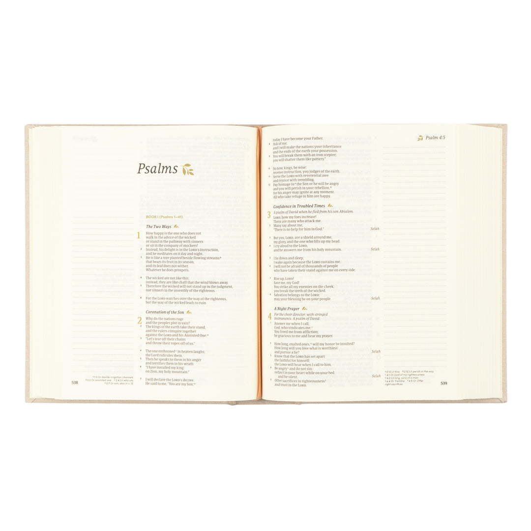 CSB Notetaking Bible: Oxford Theme