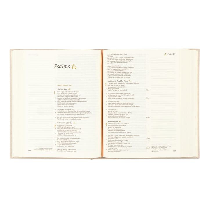 CSB Notetaking Bible: Oxford Theme