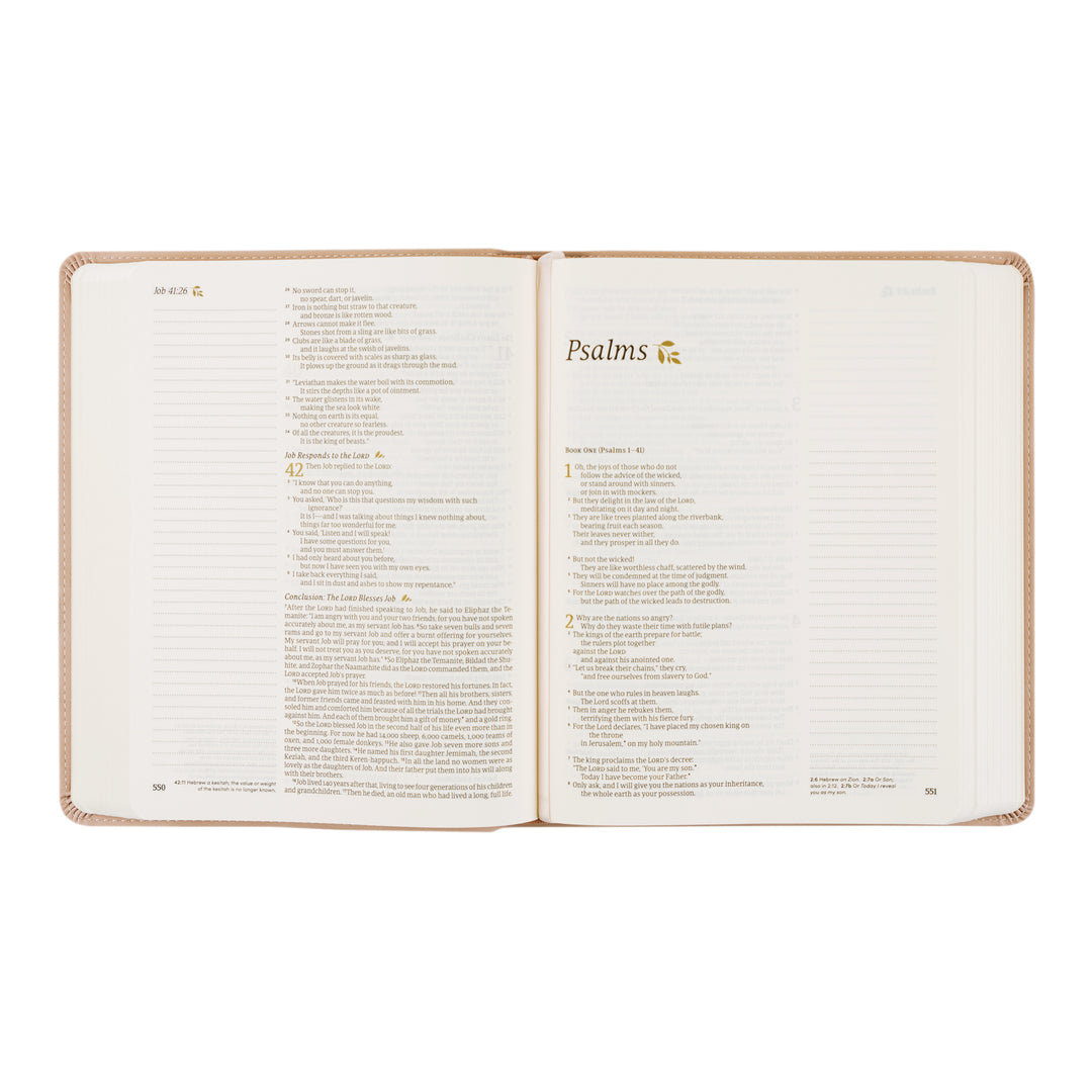 Shiloh-Notetaking-NLT-Bible-Pink-Leather-Minimal-Floral-Hosanna-Revival