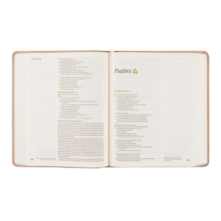 Shiloh-Notetaking-NLT-Bible-Pink-Leather-Minimal-Floral-Hosanna-Revival