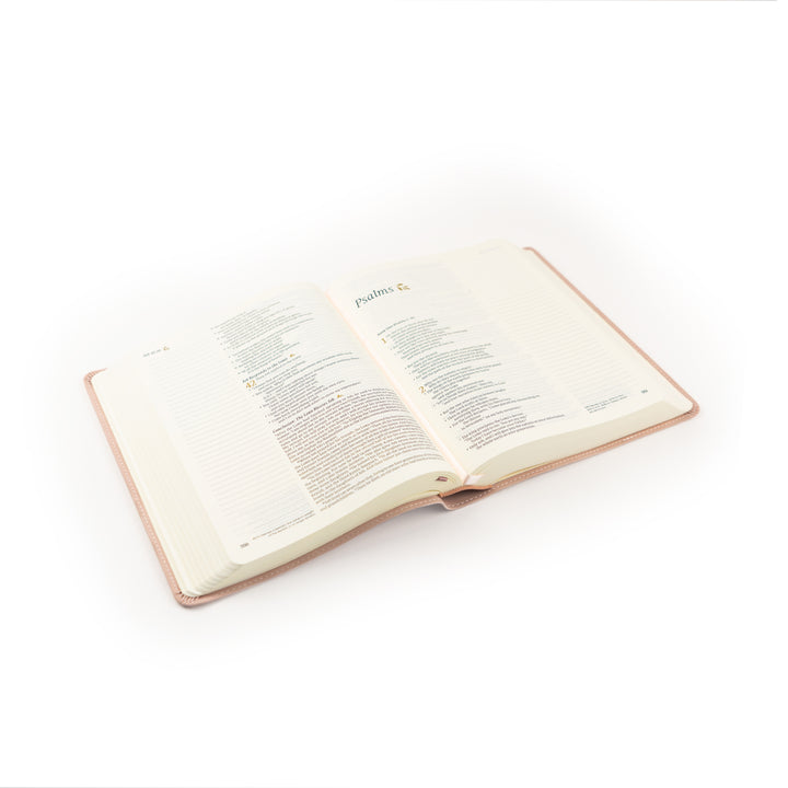 Shiloh-Notetaking-NLT-Bible-Pink-Leather-Minimal-Floral-Hosanna-Revival