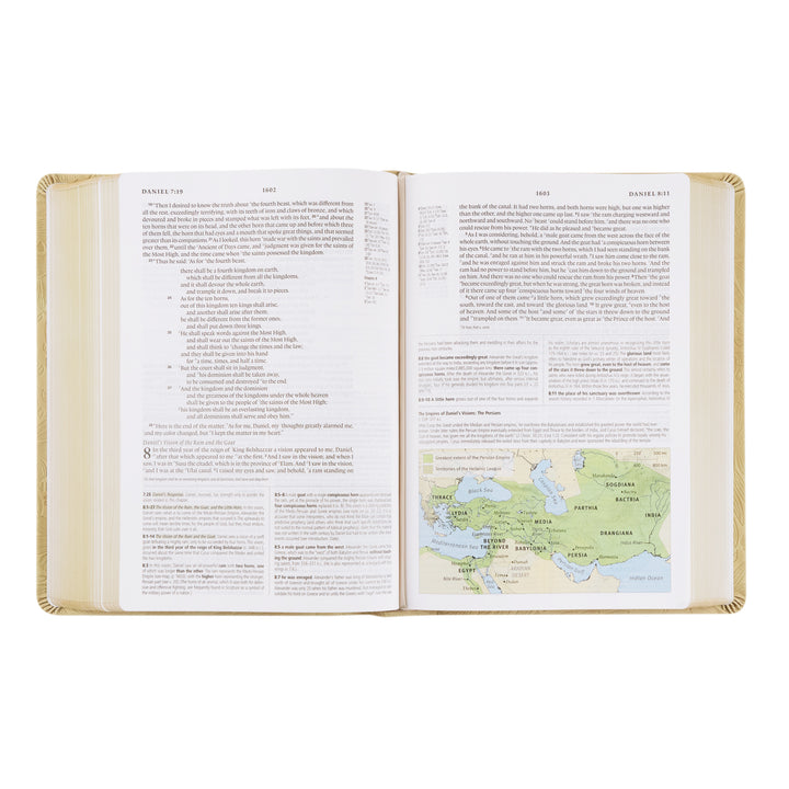 Sonora-ESV-Study-Bible-Softcover-Neutral-Cream-Floral-Deboss-Hosanna-Revival