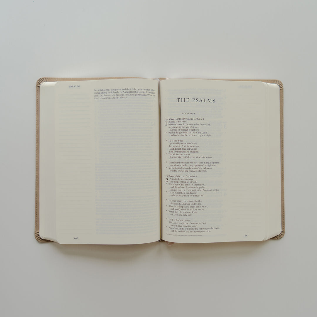 Nara-Large-Print-ESV-Journaling-Bible-Floral-Leather-Light