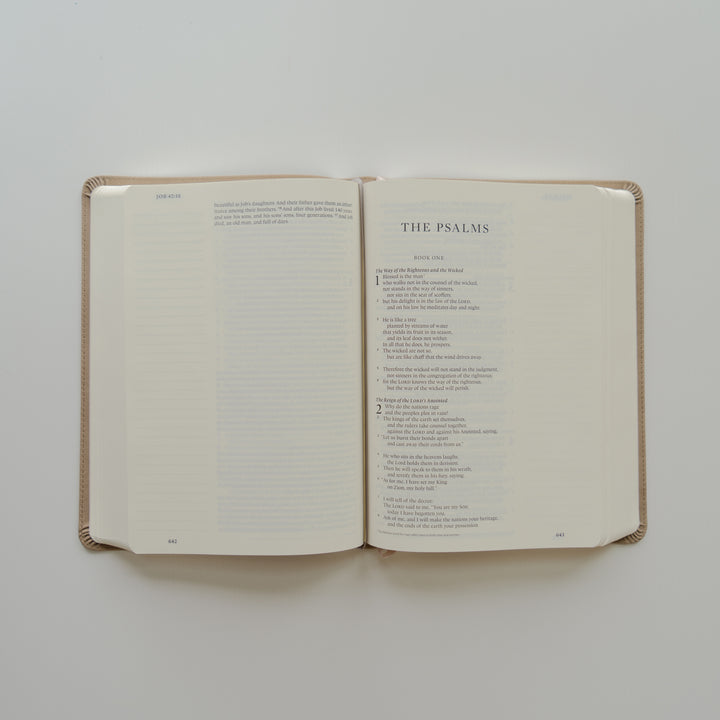 Nara-Large-Print-ESV-Journaling-Bible-Floral-Leather-Light