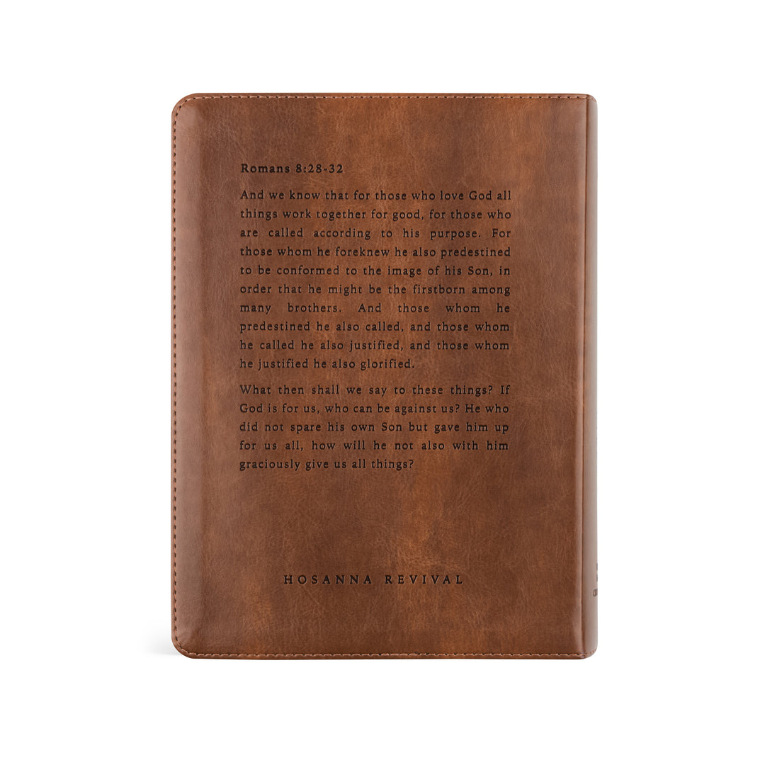 Westminster-ESV-Journaling-Bible-Stained-Glass-Lion-Hosanna-Revival
