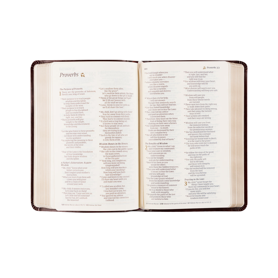 Yorkshire-NLT-Compact-Bible-Leather-Gold-Foil-Bouquet-Hosanna-Revival