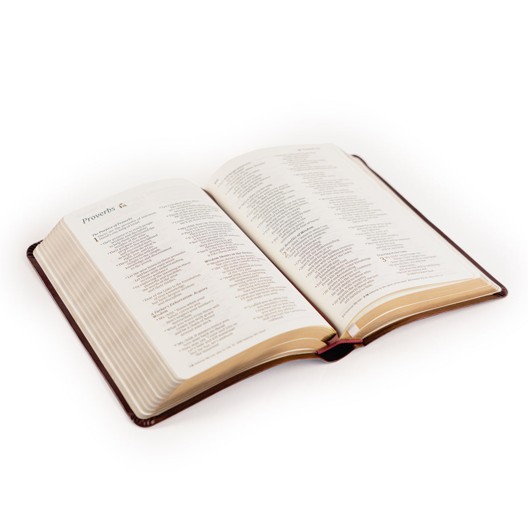 Yorkshire-NLT-Compact-Bible-Leather-Gold-Foil-Bouquet-Hosanna-Revival