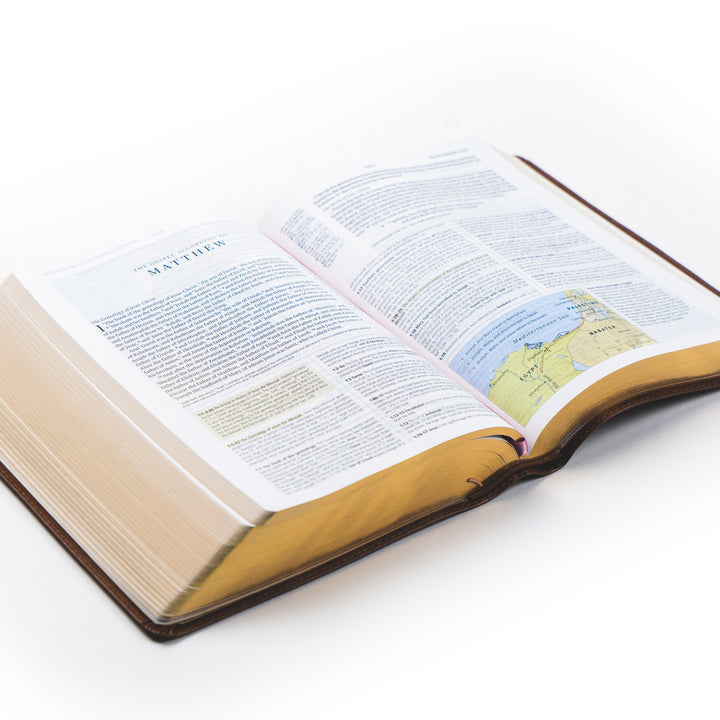 Aurora-ESV-Study-Bible-Minimal-Leather-Floral-Hosanna-Revival