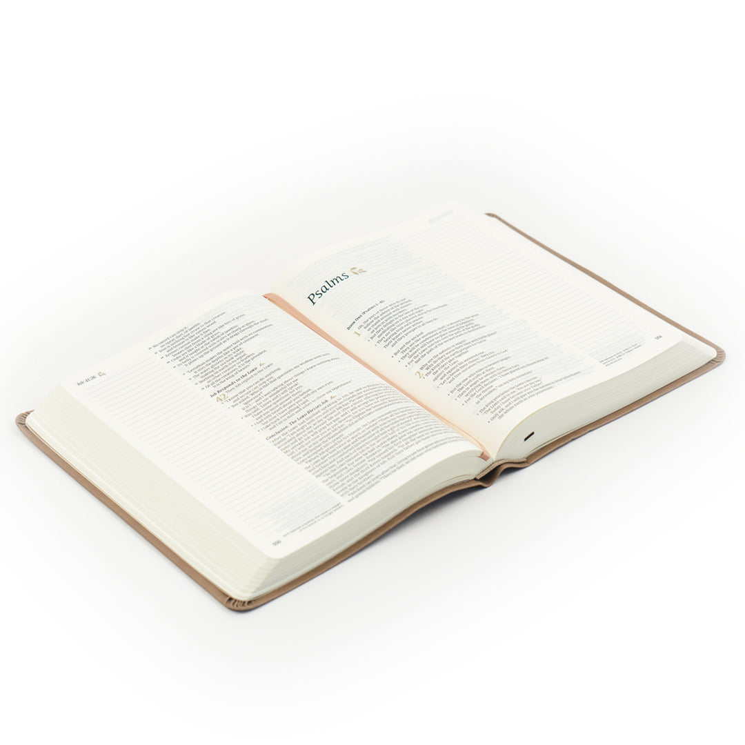 Galilee-NLT-Notetaking-Bible-Leather-Hosanna-Revival