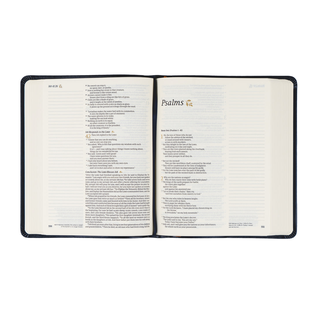 Versailles-NLT-Notetaking-Bible-Leather-Hosanna-Revival