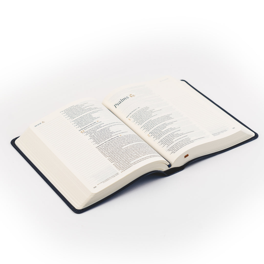 Versailles-NLT-Notetaking-Bible-Leather-Hosanna-Revival
