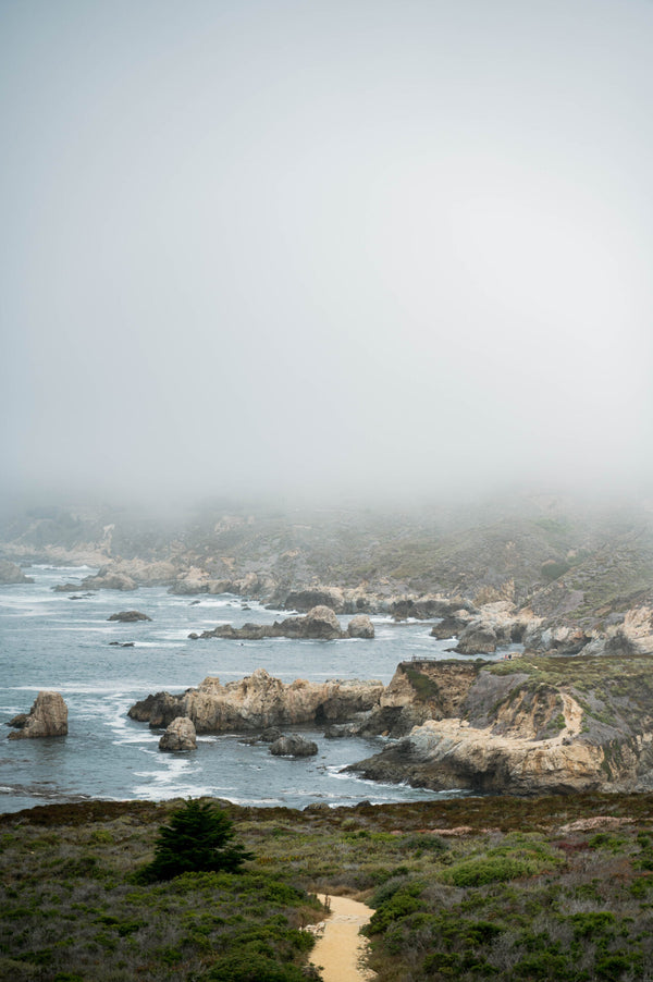 When Grief Feels Too Heavy