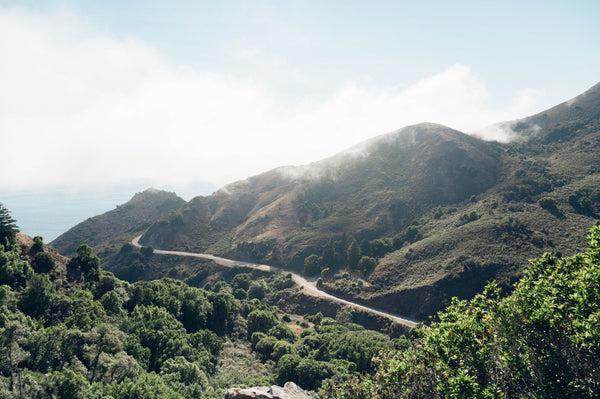 When You Feel Overwhelmed About Environmental Care