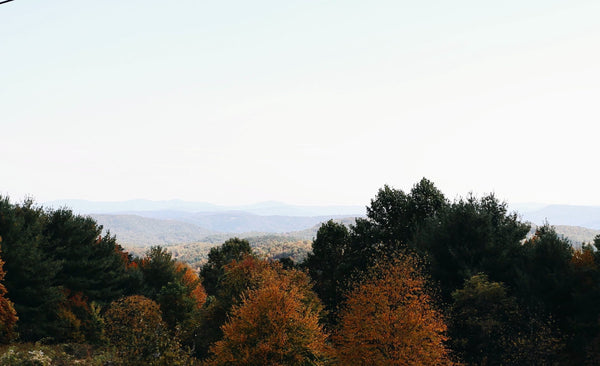 When Your Walk with God Feels Lonely