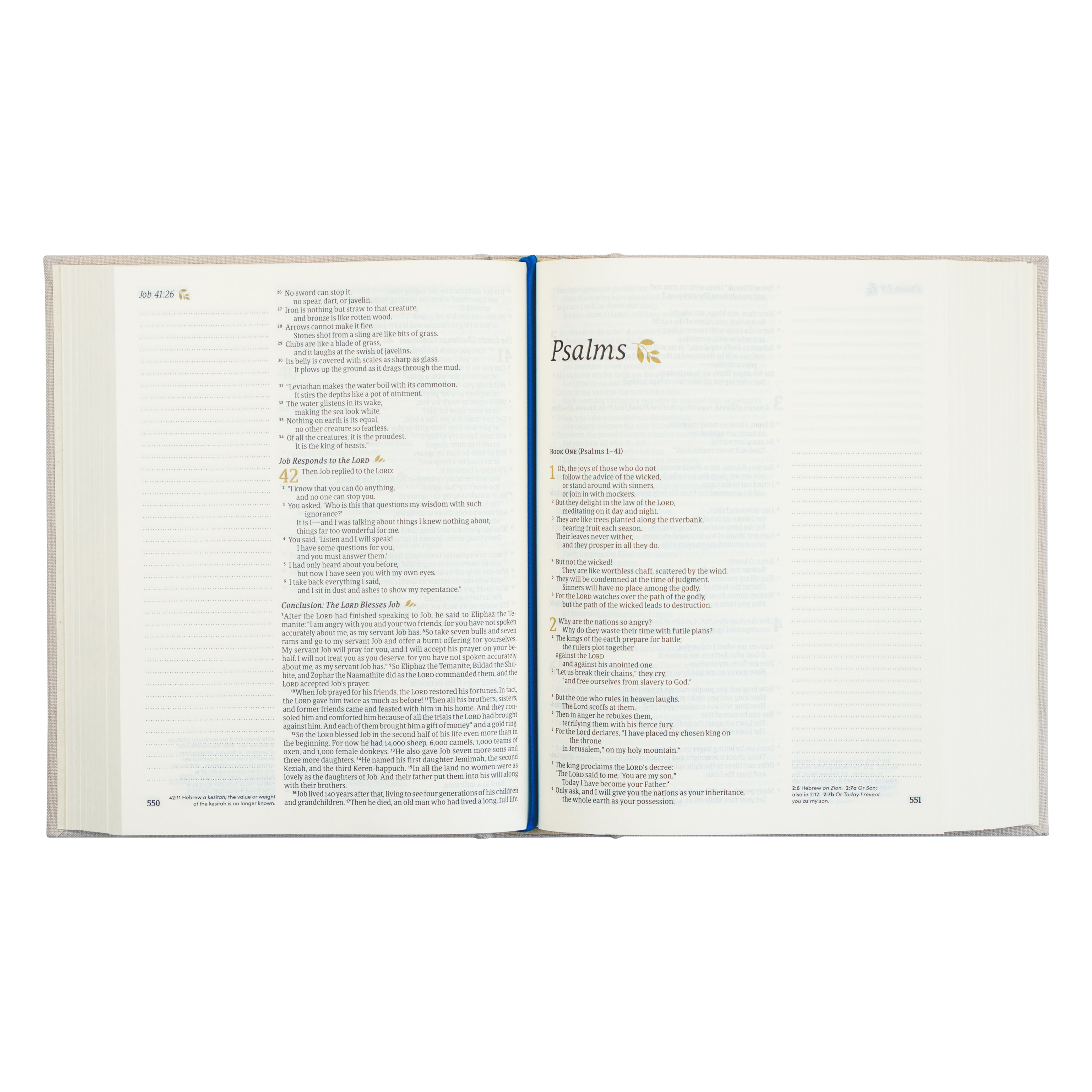 Hosanna Revival Blue Bible: NLT Notetaking Bible - Adelaide