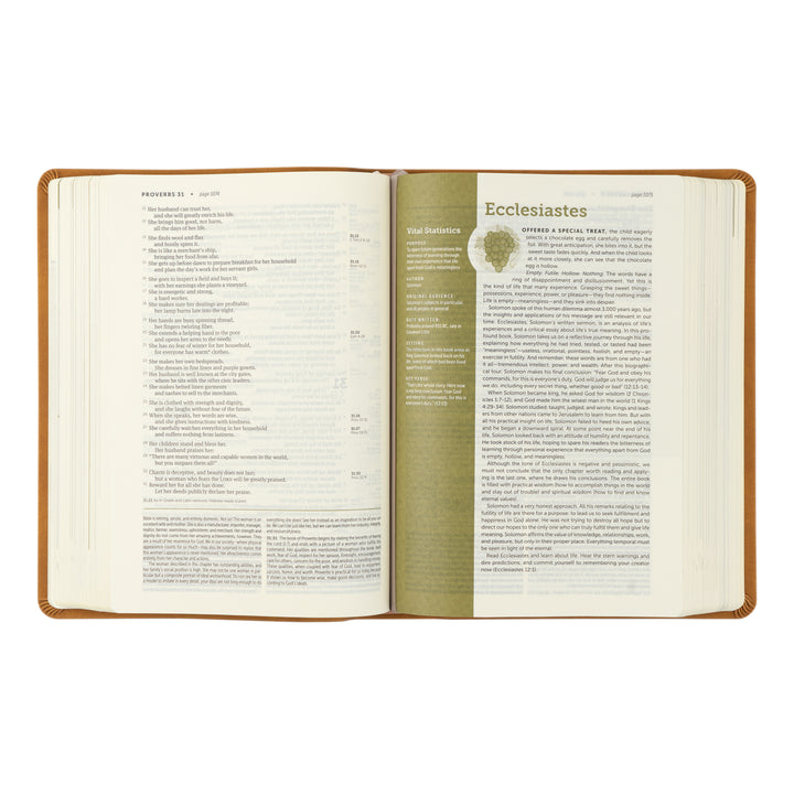 NLT Life Application Study Bible: Amelia Theme