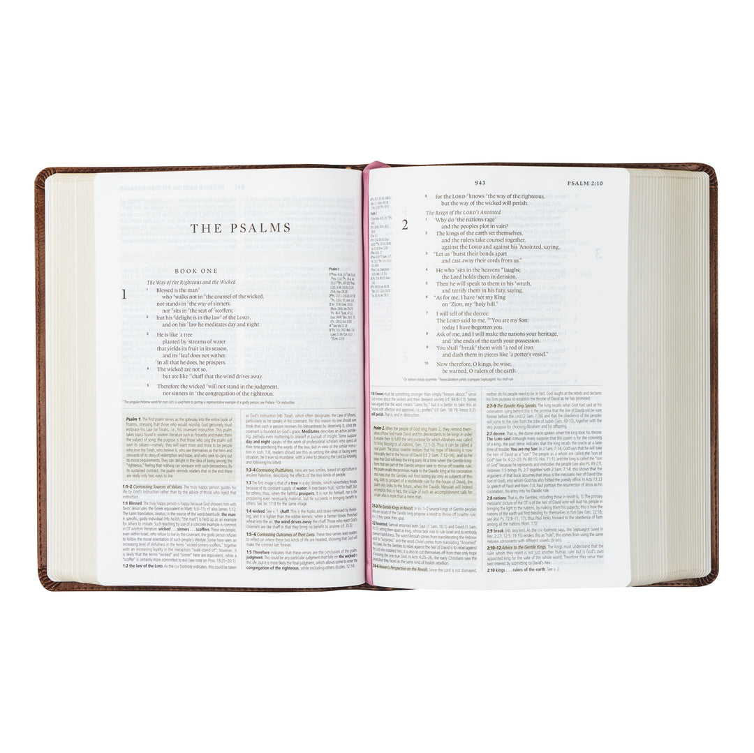 Aurora BUNDLE : ESV Study Bible + Notebook