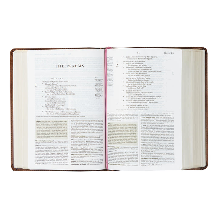 Aurora BUNDLE : ESV Study Bible + Notebook