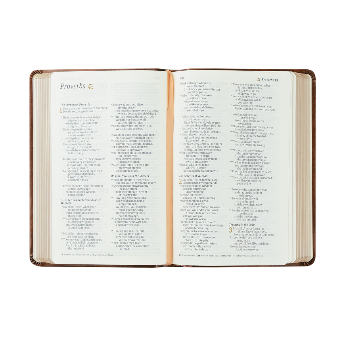 NLT Compact Bible: Aurora Theme | Hosanna Revival
