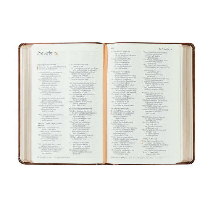 NLT Compact Bible: Aurora Theme