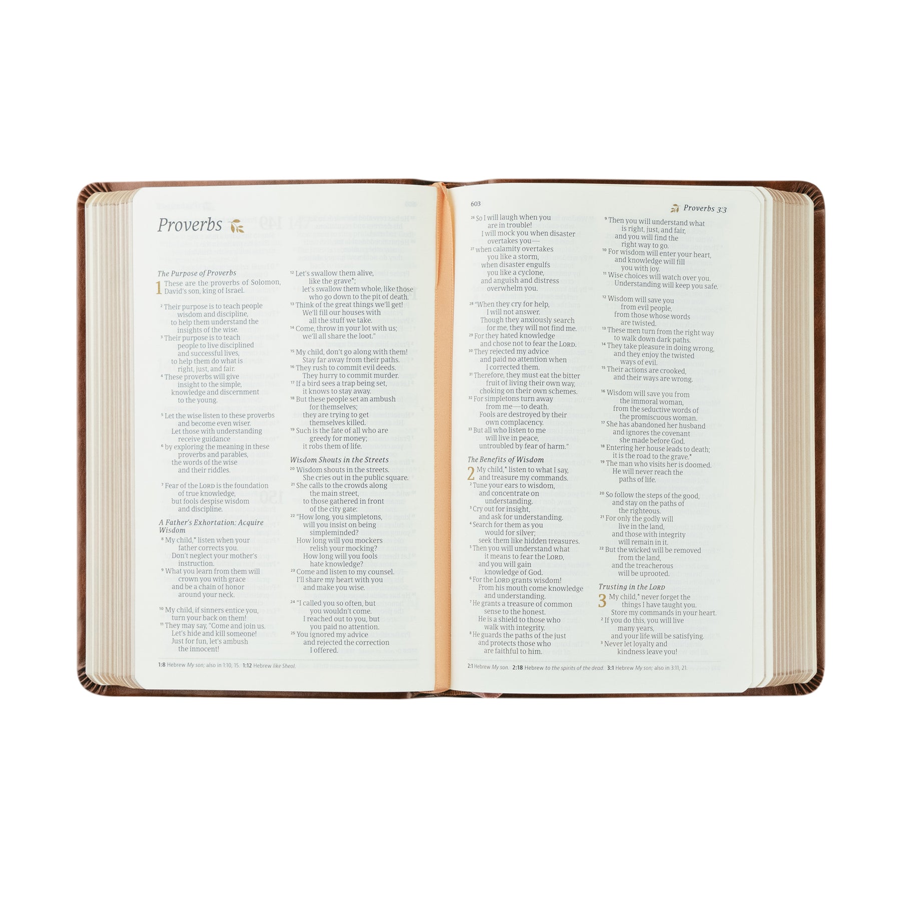 NLT Compact Bible Aurora Theme Hosanna Revival Nlt compact bible aurora theme hosanna revival