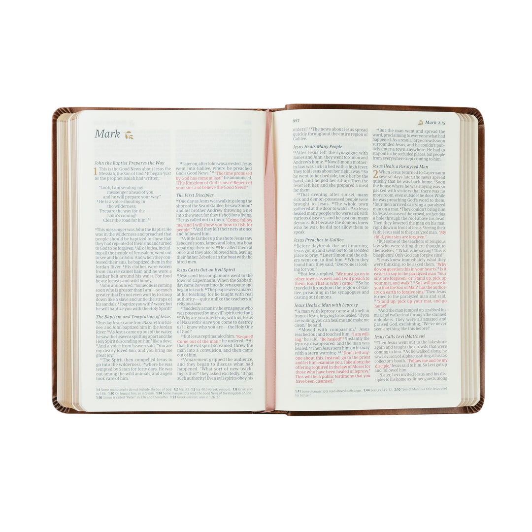 NLT Compact Bible: Aurora Theme