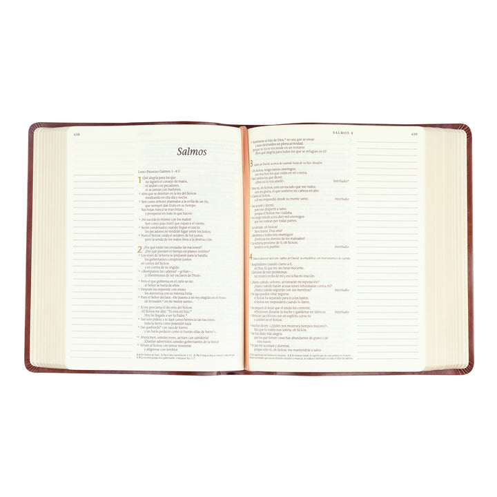 Open book with text on a white background