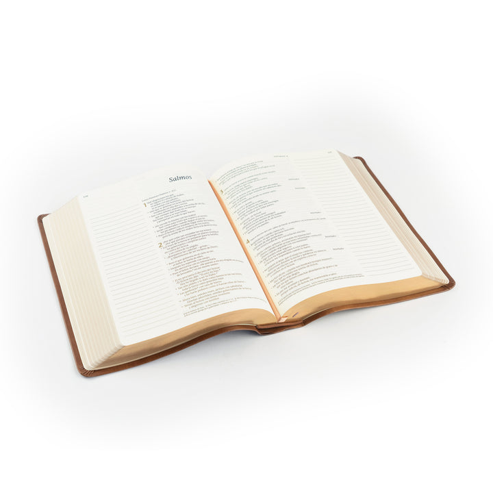 Open book on a white background