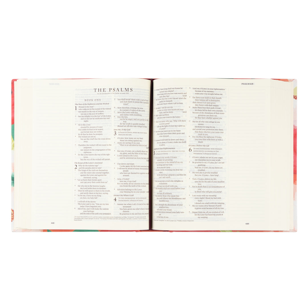 Archive | Hosanna Revival ESV Bible: Barcelona Theme