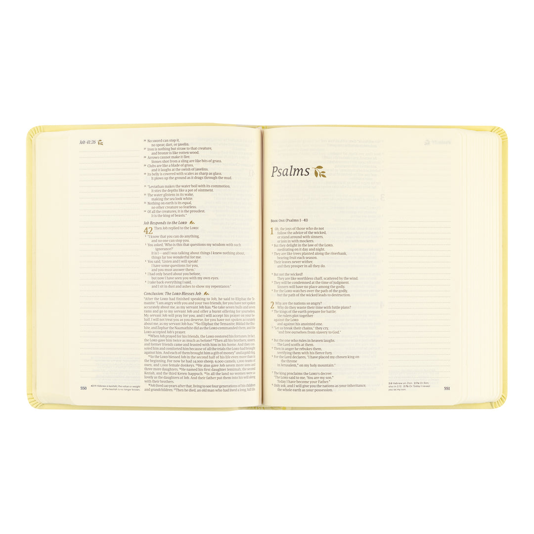 Open book showing the Psalms section on a white background