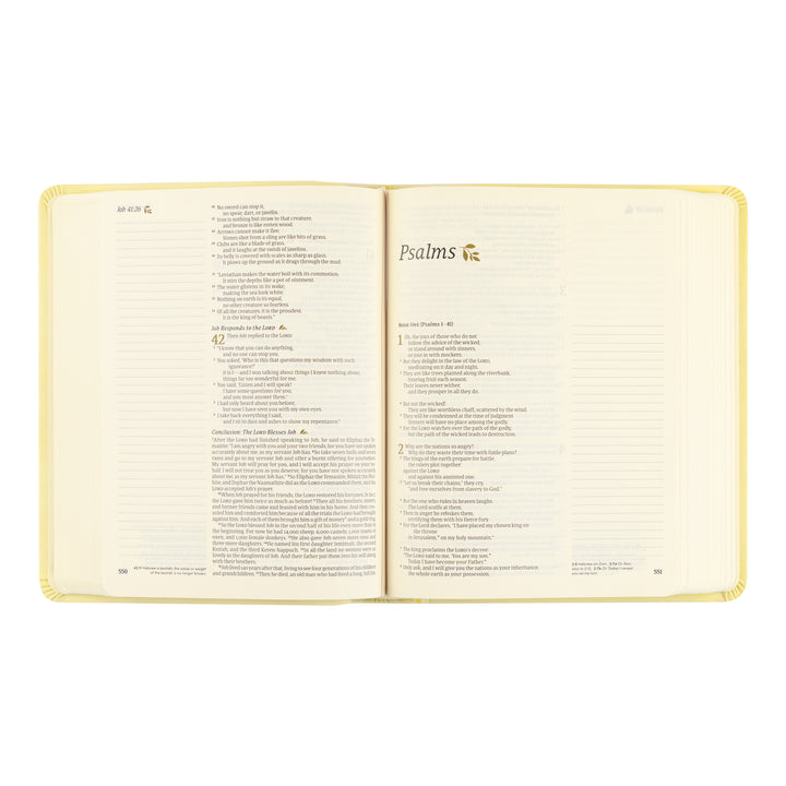 Open book showing the Psalms section on a white background