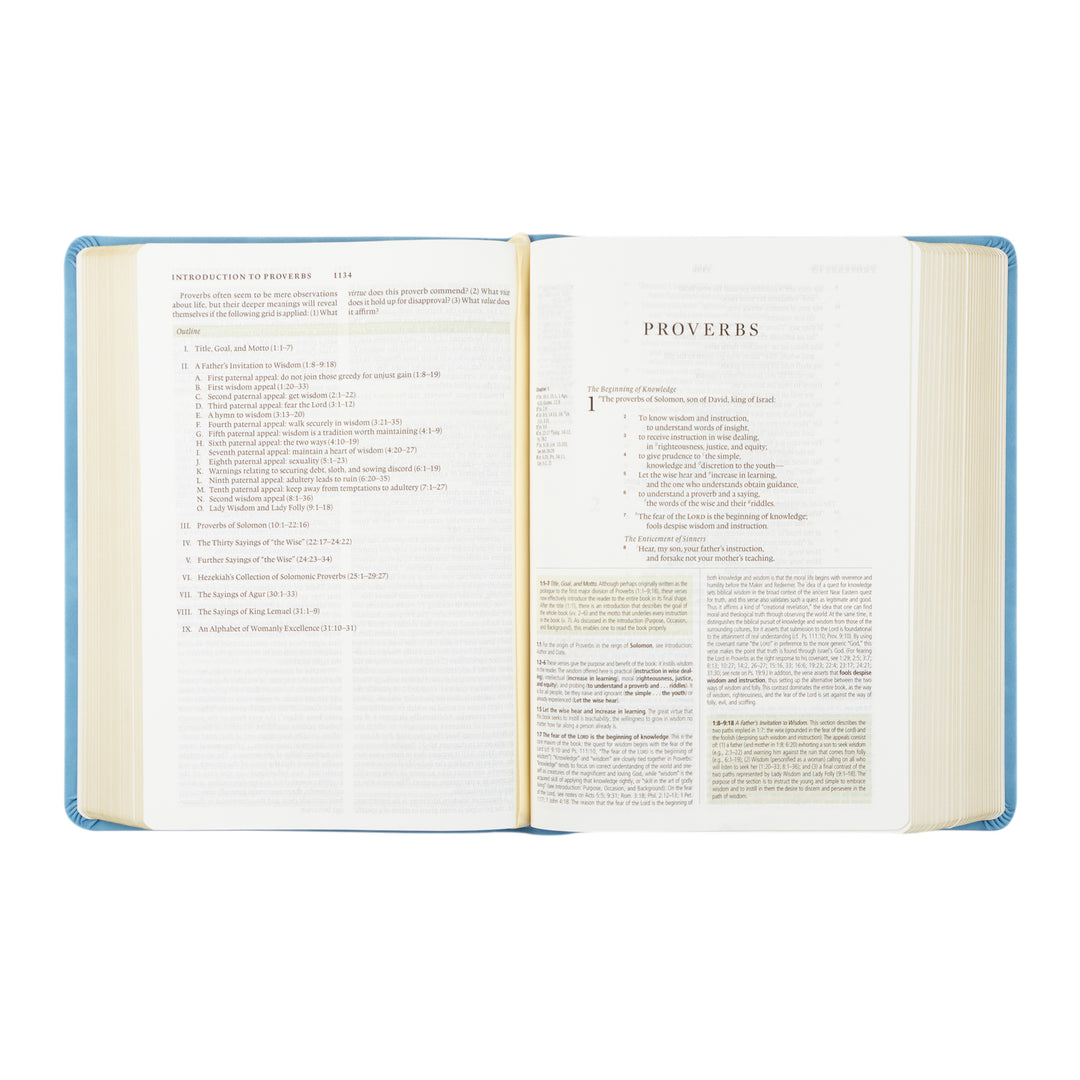 Open Bible with visible text of Proverbs on a white background