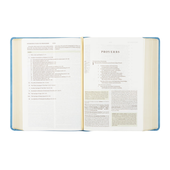 Open Bible with visible text of Proverbs on a white background