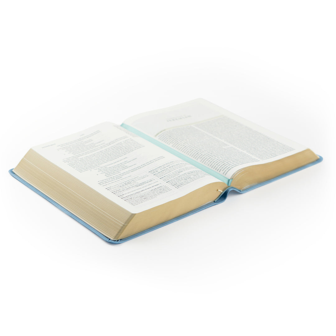 Open Bible with blue cover on a white background