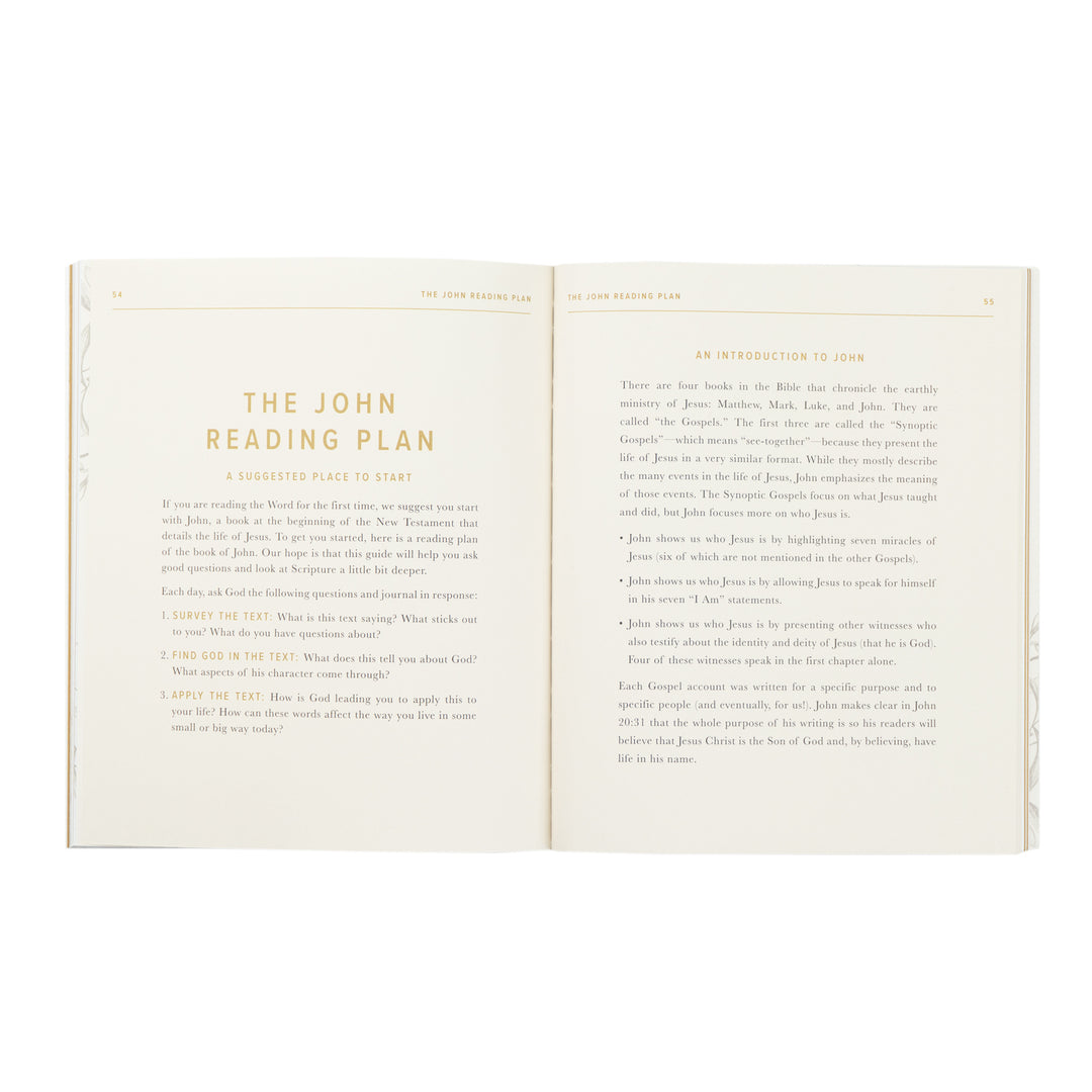Open book with 'The John Reading Plan' title on a white background