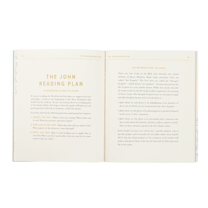 Open book with 'The John Reading Plan' title on a white background