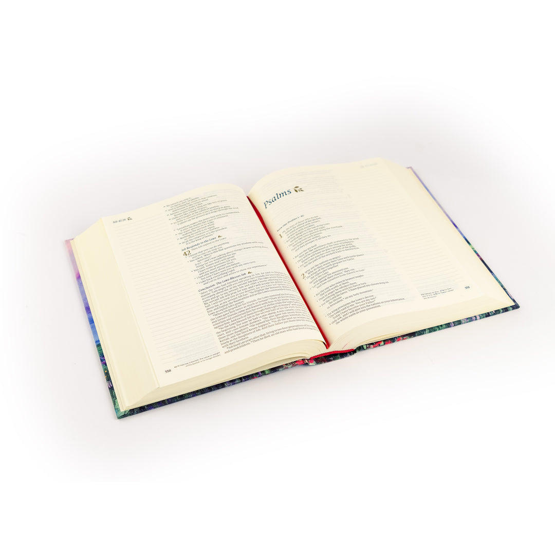 Open book on a white background