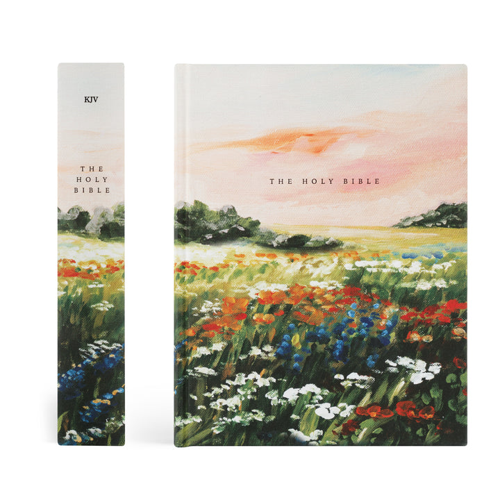 Two copies of 'The Holy Bible' with a colorful landscape design on the cover.