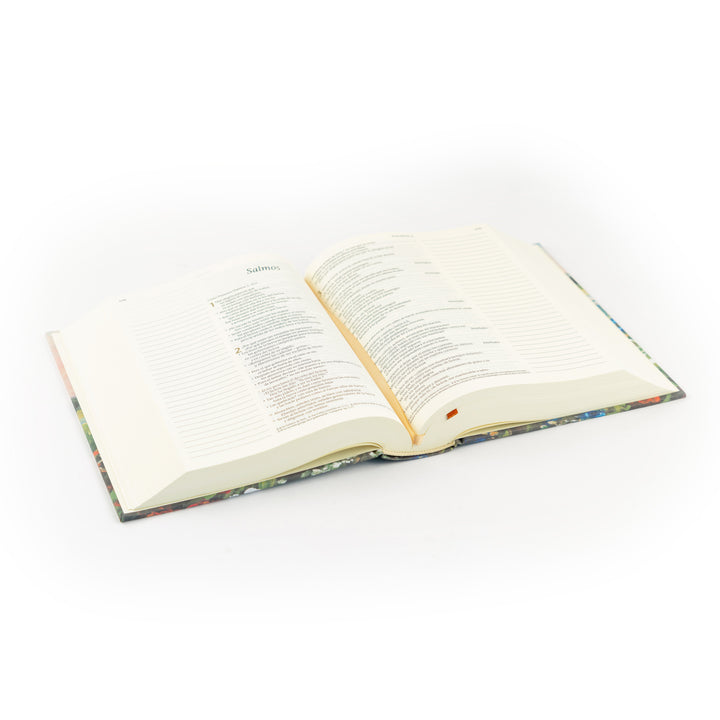 Open book on a white background