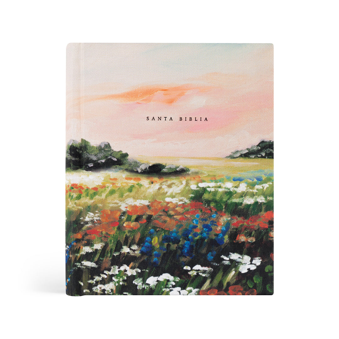 Book cover with a painting of a field and 'Santa Biblia' text